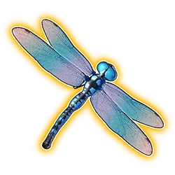 Dragongly Symbol